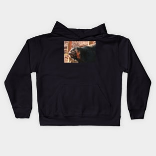 The Bear Necessities Kids Hoodie